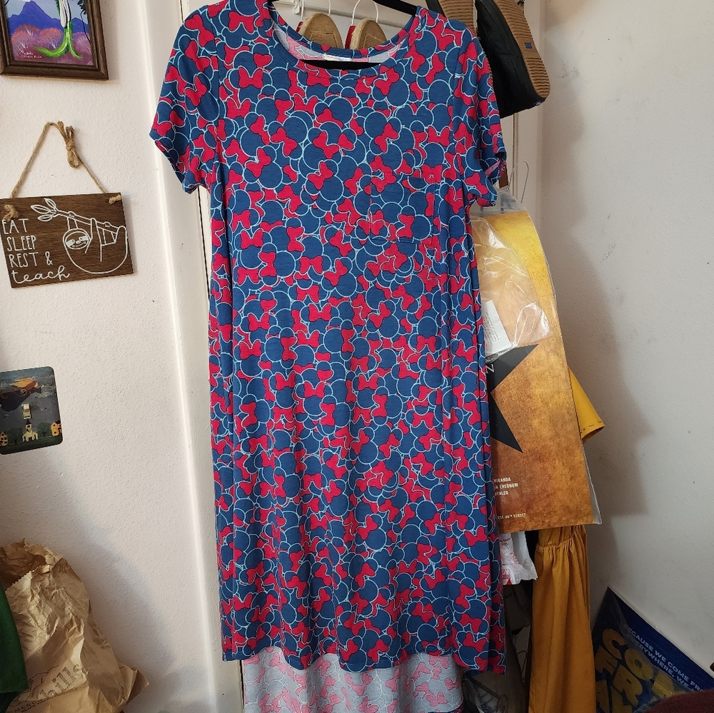 Lularoe Disney Carly dress